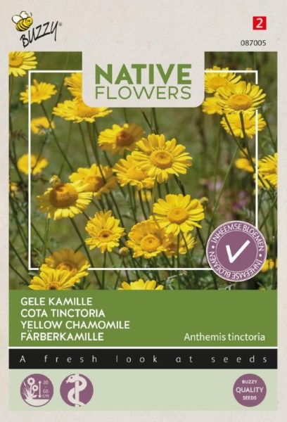 Anthemis tinctoria, semená kvetov, kvety na sušenie, rumanovec, žlté kvety,